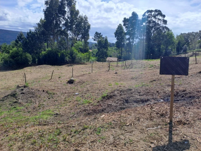 Terreno para Venda em Venade e Azevedo Foto 2