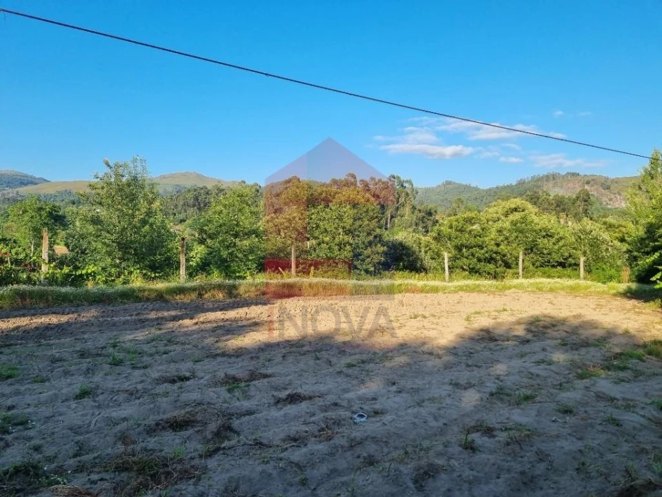 Terreno para Venda em Pico Foto 6