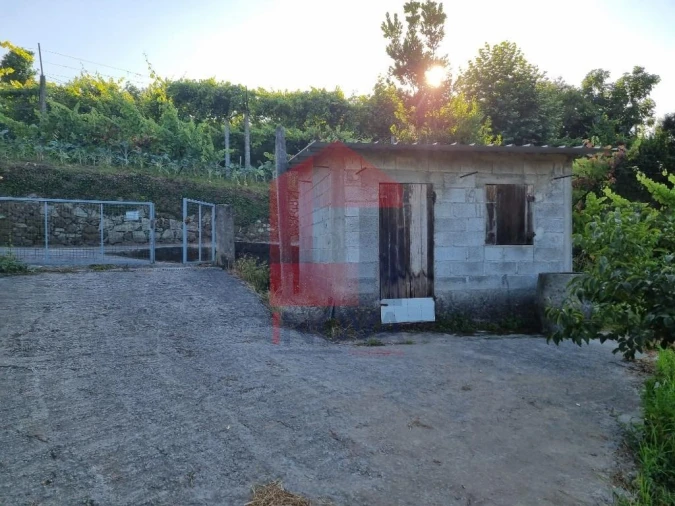 Terreno para Venda em Pico Foto 7