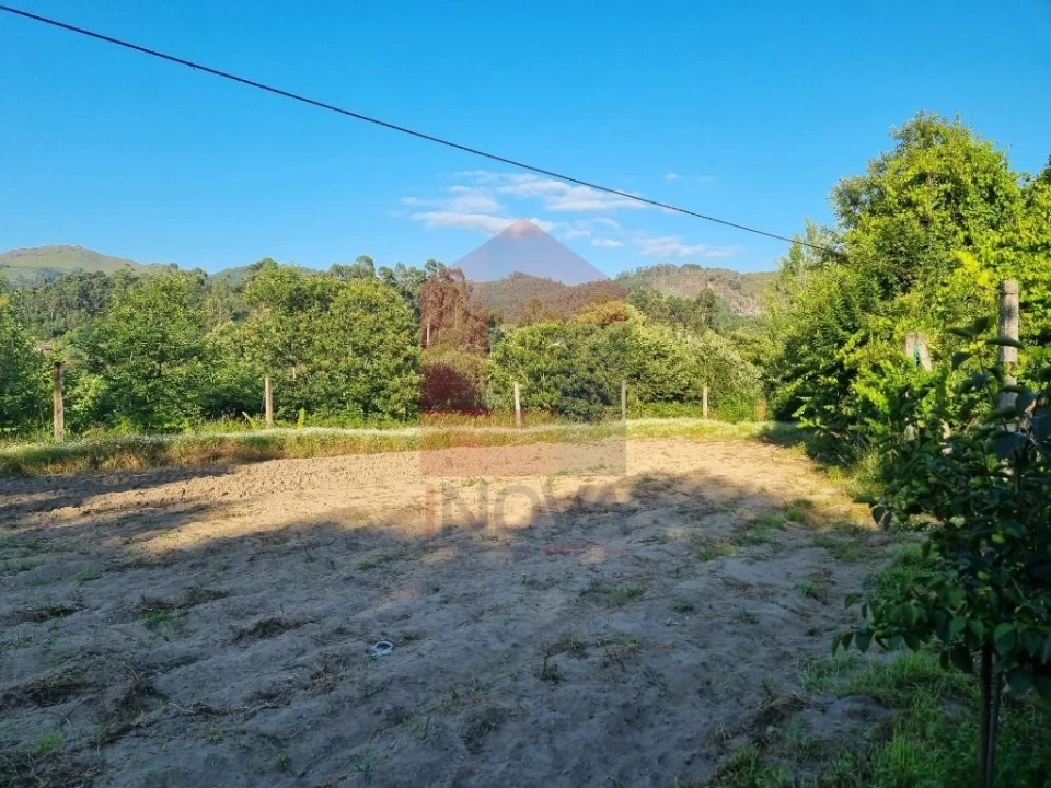 Terreno para Venda em Pico Foto 5