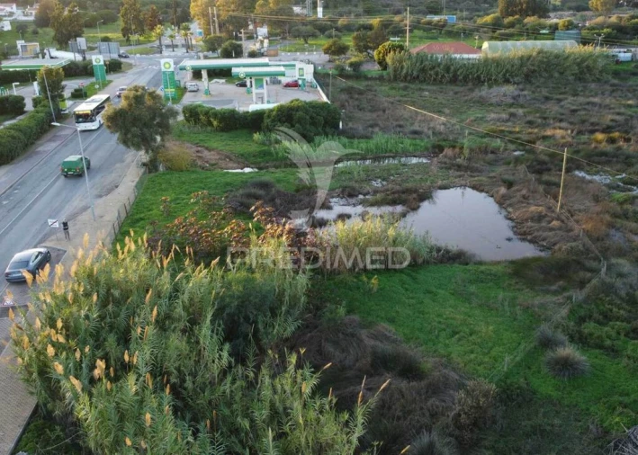 Terreno para Venda em Monte Gordo Foto 4