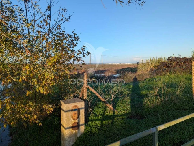 Terreno para Venda em Monte Gordo Foto 7
