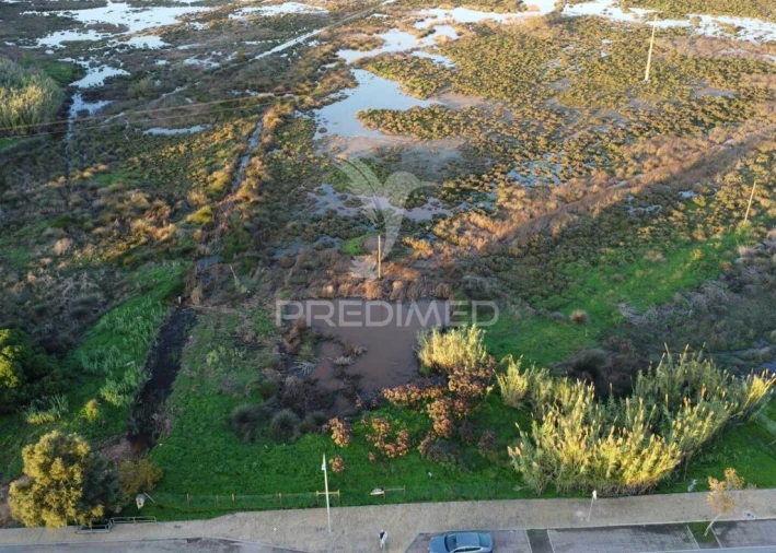 Terreno para Venda em Monte Gordo Foto 2