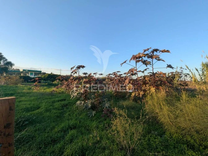 Terreno para Venda em Monte Gordo Foto 11