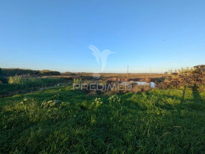 Terreno para Venda em Monte Gordo Foto 12