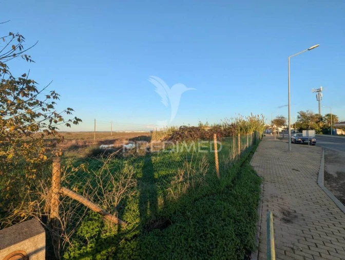 Terreno para Venda em Monte Gordo Foto 13