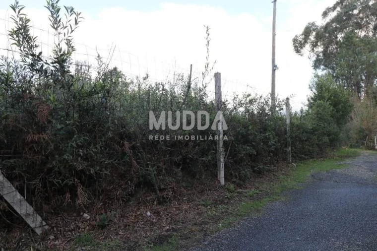 Terreno para Venda em Fiães Foto 2