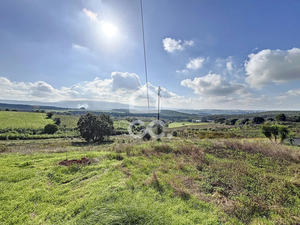 Moradia T2 para Venda em Peral Foto 18