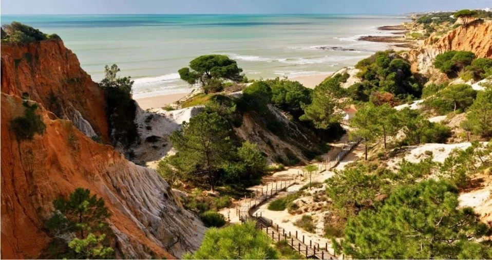 Apartamento T3 para Venda em Albufeira e Olhos de Água Foto 4