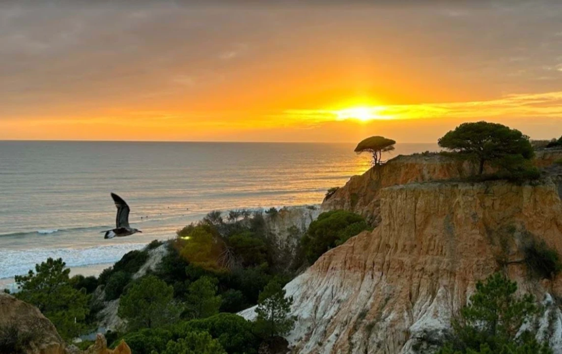 Apartamento T3 para Venda em Albufeira e Olhos de Água Foto 1