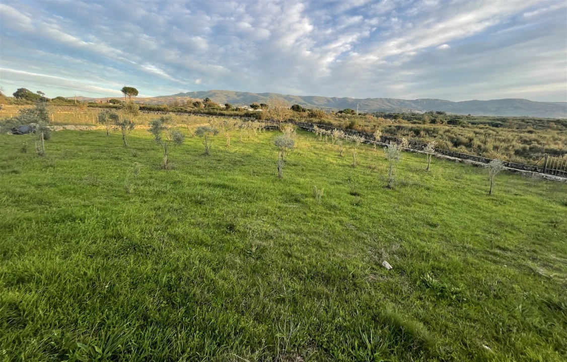 Quinta T0 para Venda em Rio Torto e Lagarinhos Foto 2