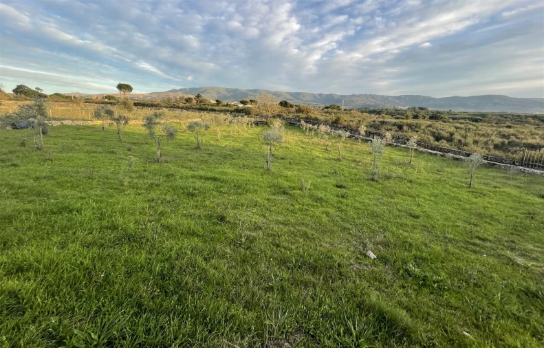Quinta T0 para Venda em Rio Torto e Lagarinhos Foto 2