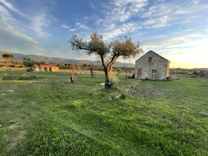 Quinta T0 para Venda em Rio Torto e Lagarinhos Foto 15