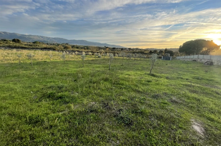 Quinta T0 para Venda em Rio Torto e Lagarinhos Foto 5