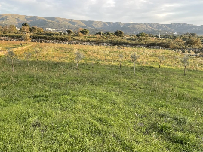 Quinta T0 para Venda em Rio Torto e Lagarinhos Foto 6