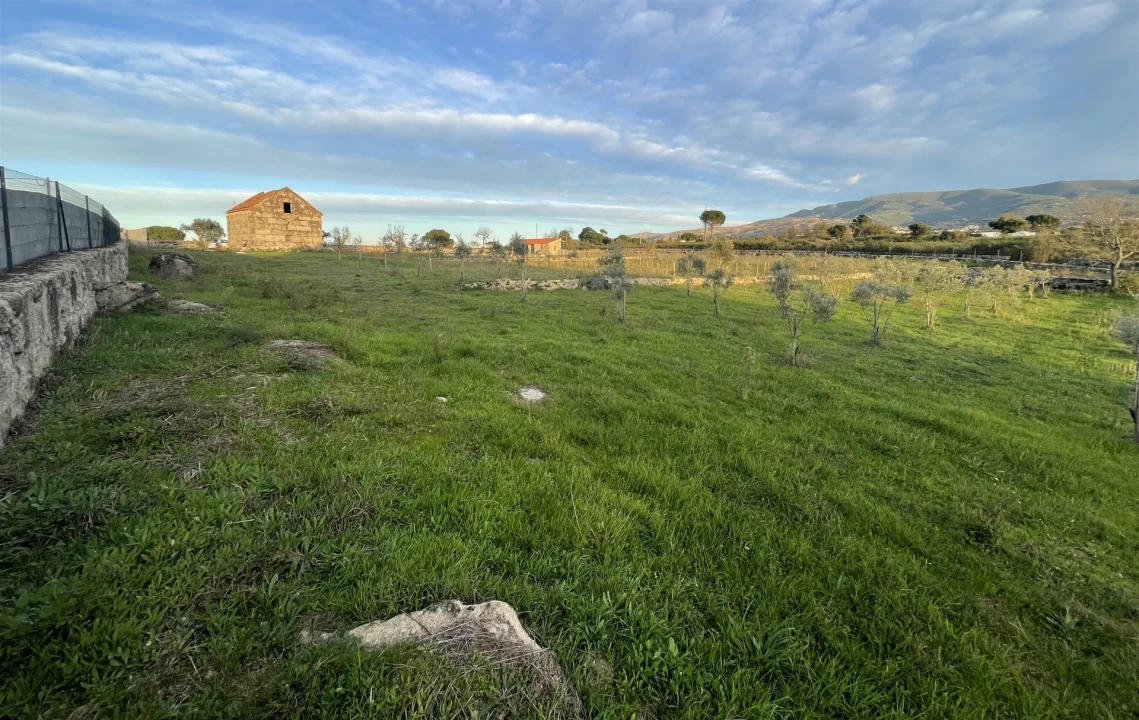 Quinta T0 para Venda em Rio Torto e Lagarinhos Foto 4