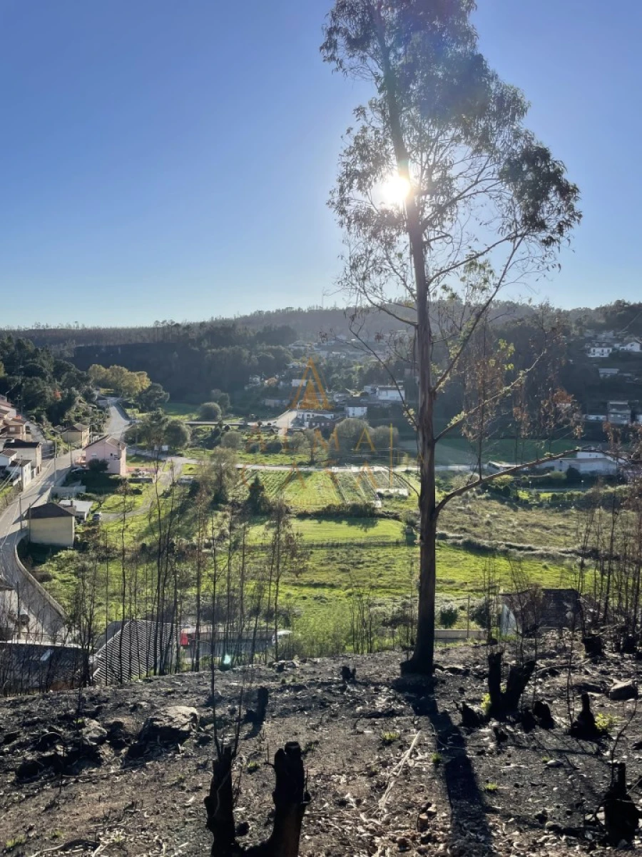 Terreno para Venda em Foz do Sousa e Covelo Foto 12