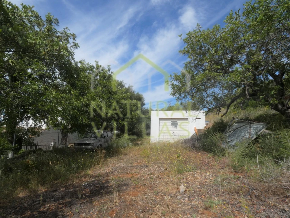 Terreno Agricola ou Rústico para Venda em Santa Barbara de Nexe Foto 4
