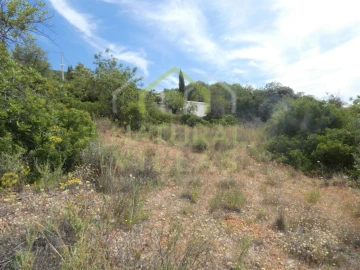 Terreno Agricola ou Rústico para Venda em Santa Barbara de Nexe