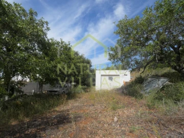 Terreno Agricola ou Rústico para Venda em Santa Barbara de Nexe
