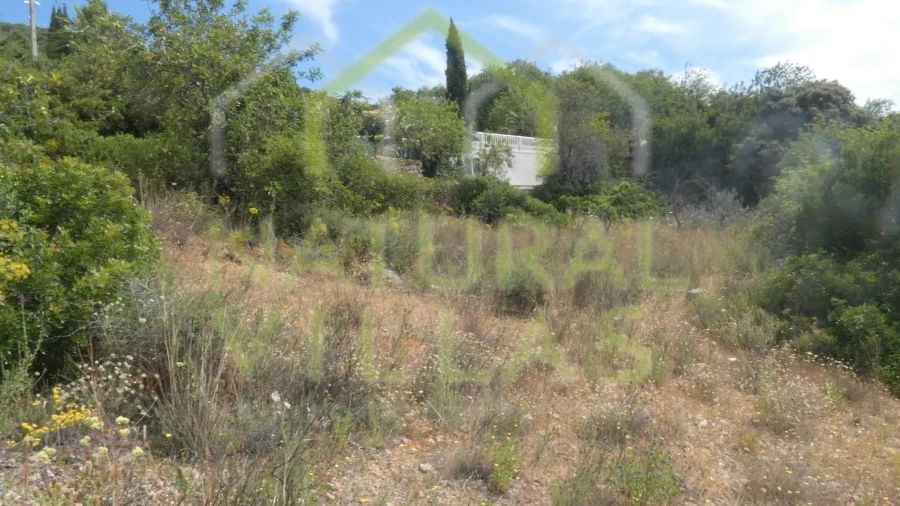 Terreno Agricola ou Rústico para Venda em Santa Barbara de Nexe