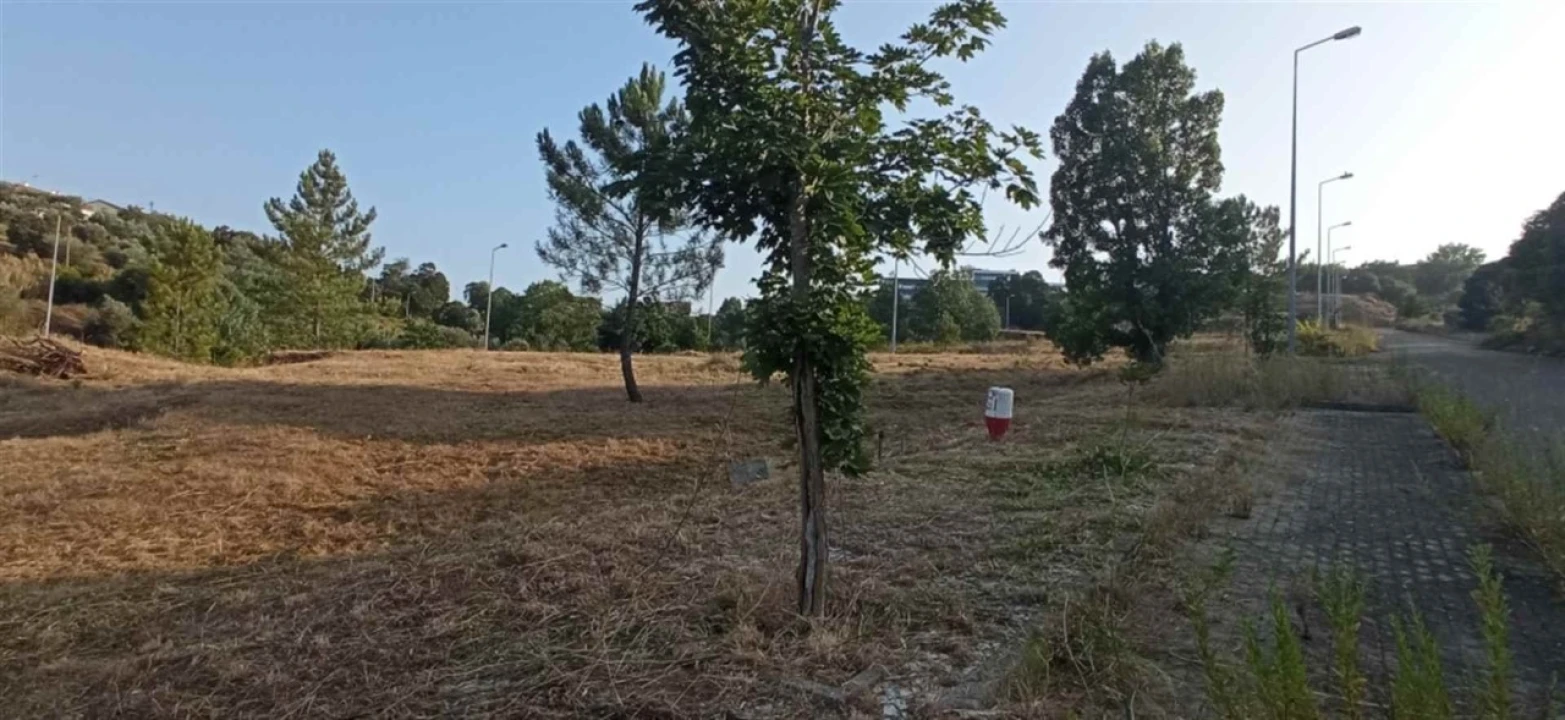 Terreno para Venda em Abrantes (São Vicente e São João) e Alferrarede Foto 4