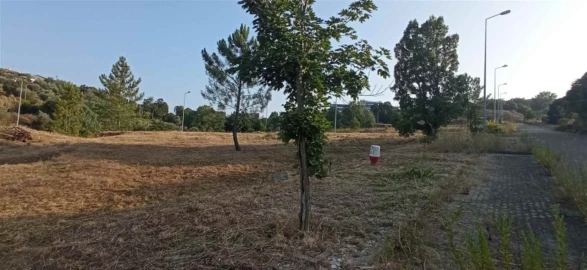 Terreno para Venda em Abrantes (São Vicente e São João) e Alferrarede