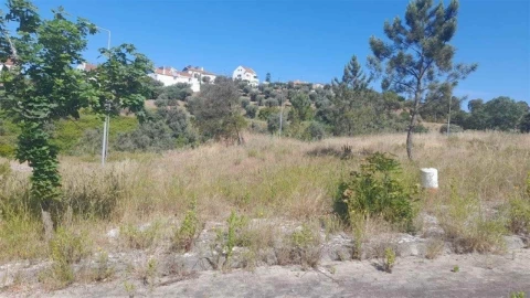 Terreno para Venda em Abrantes (São Vicente e São João) e Alferrarede