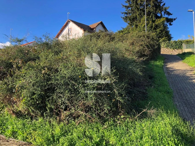 Terreno para Venda em Sabrosa Foto 4