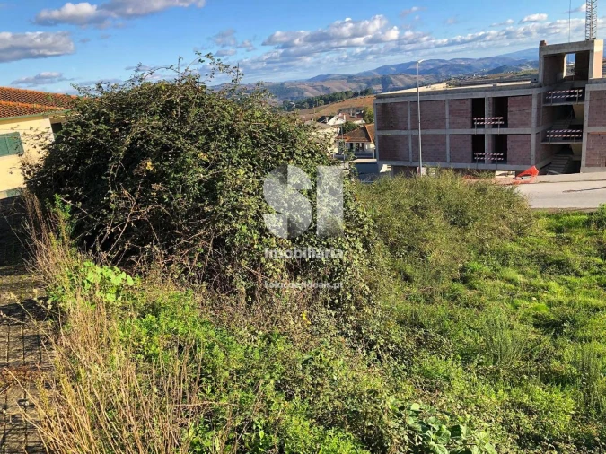 Terreno para Venda em Sabrosa Foto 3