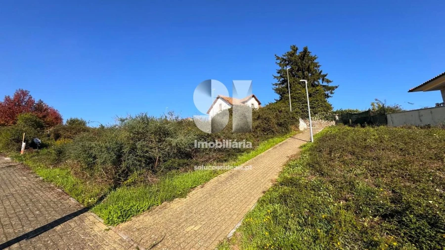 Terreno para Venda em Sabrosa Foto 2