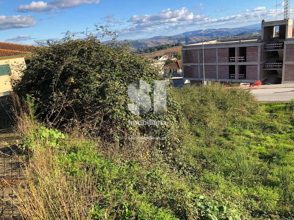 Terreno para Venda em Sabrosa Foto 3