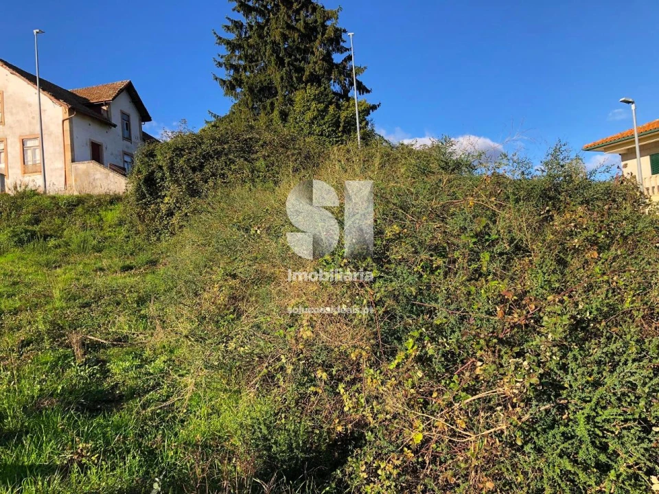 Terreno para Venda em Sabrosa Foto 5