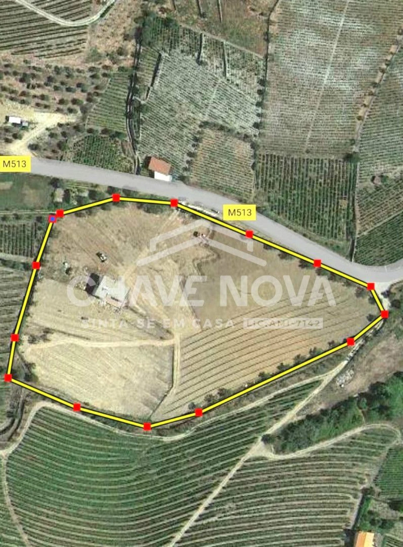 Moradia T3 para Venda em Barcos e Santa Leocádia Foto 20