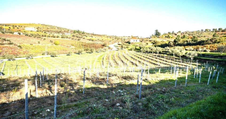 Moradia T3 para Venda em Barcos e Santa Leocádia Foto 19