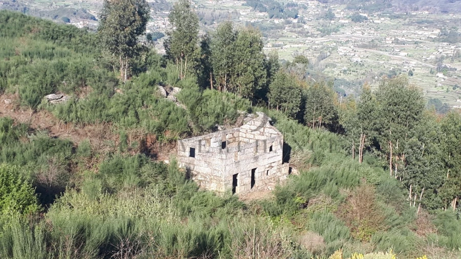 Quinta para Venda em Penhalonga e Paços de Gaiolo Foto 1