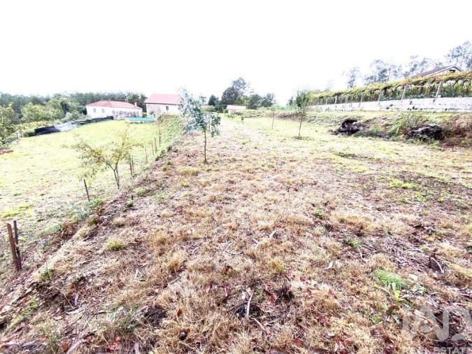 Moradia T5 para Venda em Mentrestido Foto 21