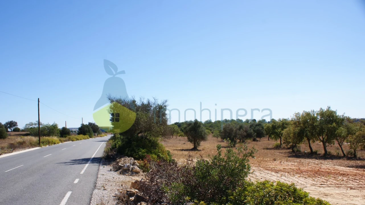 Terreno Misto para Venda em Algoz e Tunes Foto 10