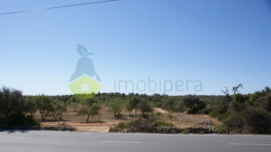 Terreno Misto para Venda em Algoz e Tunes Foto 5