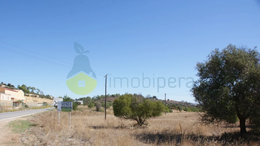 Terreno Misto para Venda em Algoz e Tunes Foto 4