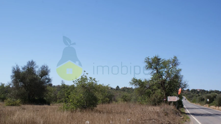 Terreno Misto para Venda em Algoz e Tunes Foto 9