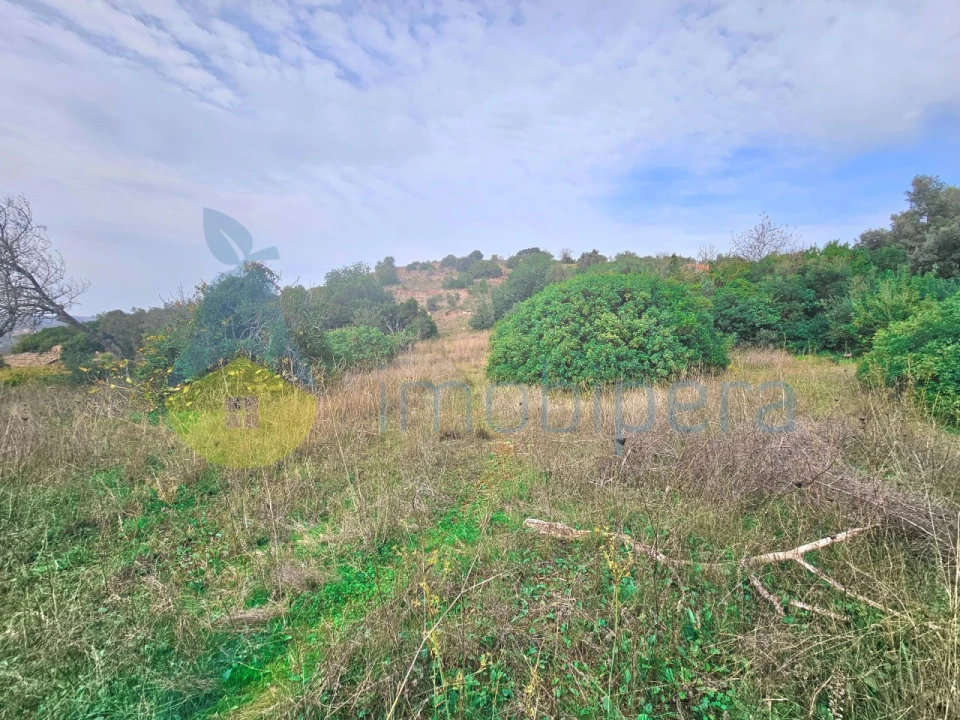 Terreno Agricola ou Rústico para Venda em São Bartolomeu de Messines Foto 8