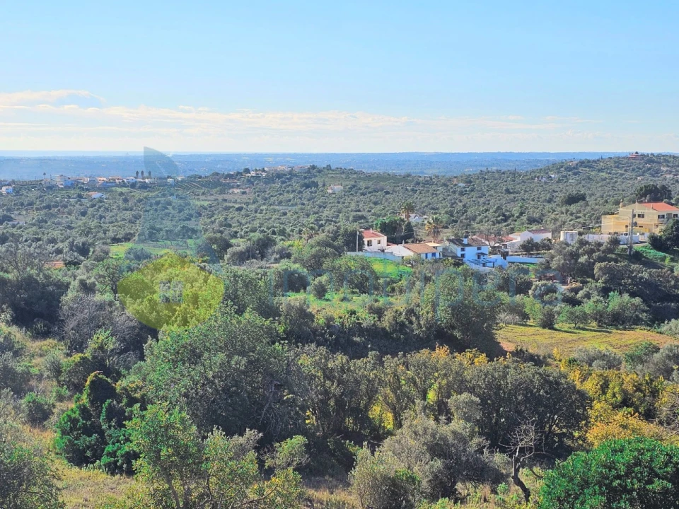 Terreno Agricola ou Rústico para Venda em São Bartolomeu de Messines Foto 10