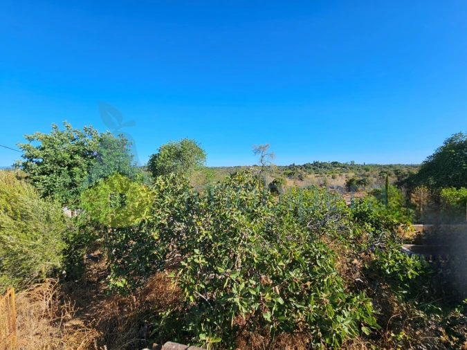 Terreno Agricola ou Rústico para Venda em São Bartolomeu de Messines Foto 9