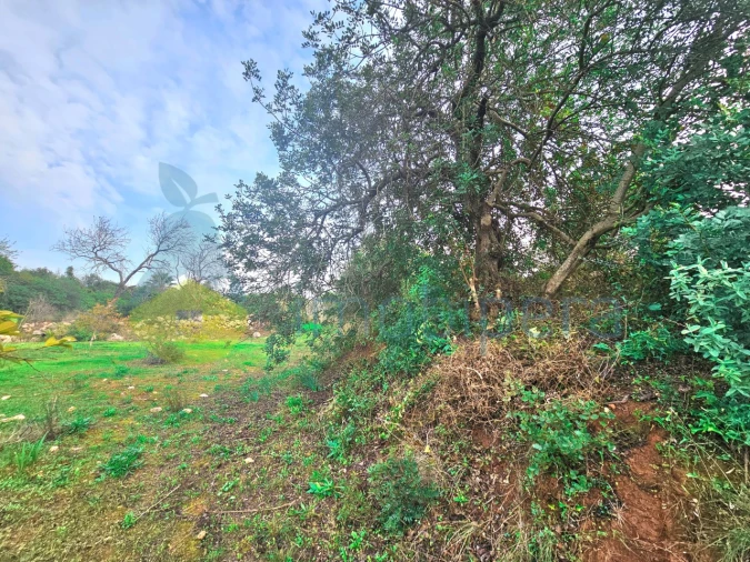 Terreno Agricola ou Rústico para Venda em São Bartolomeu de Messines Foto 4