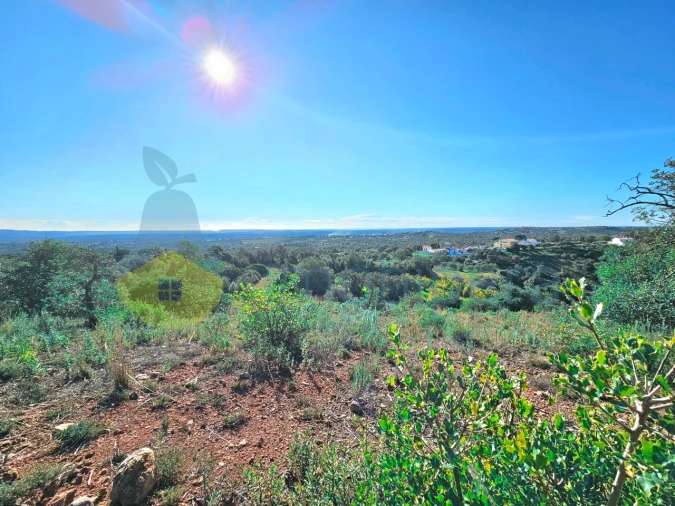 Terreno Agricola ou Rústico para Venda em São Bartolomeu de Messines Foto 1