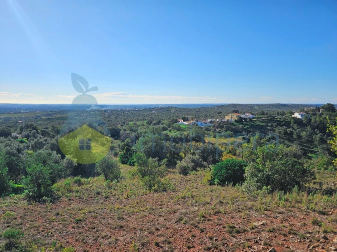 Terreno Agricola ou Rústico para Venda em São Bartolomeu de Messines Foto 11
