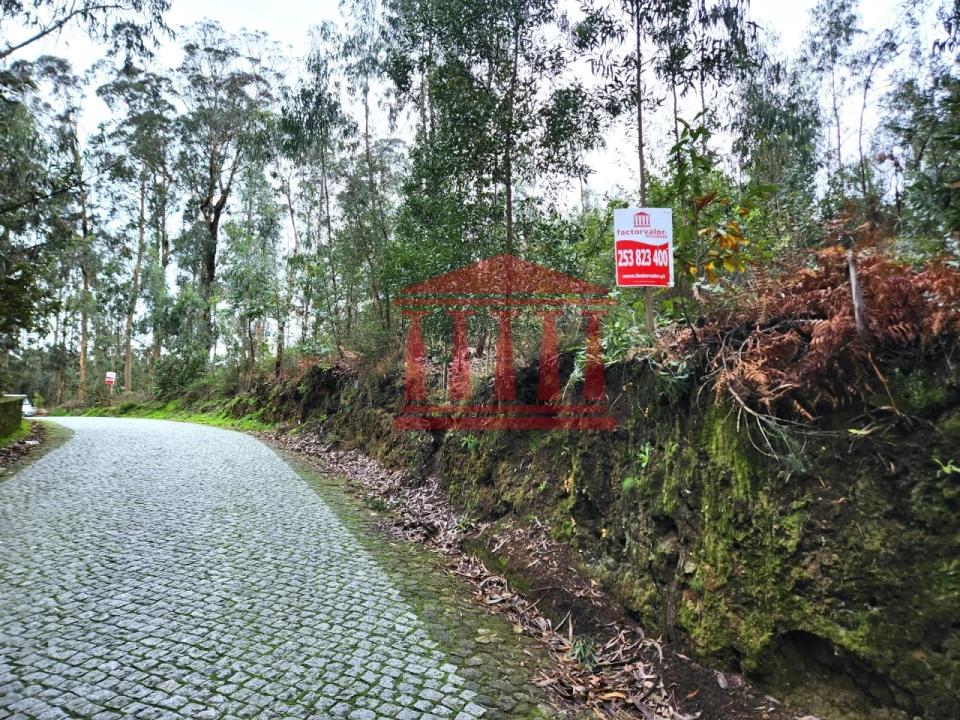 Terreno para Venda em Chorente, Góios, Courel, Pedra Furada e Gueral Foto 7
