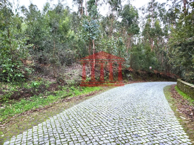 Terreno para Venda em Chorente, Góios, Courel, Pedra Furada e Gueral Foto 9