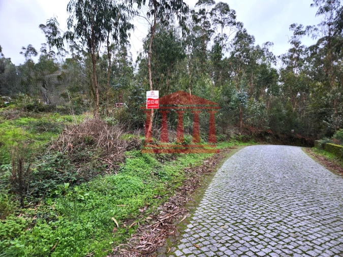 Terreno para Venda em Chorente, Góios, Courel, Pedra Furada e Gueral Foto 10
